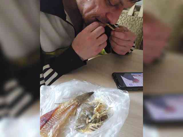 TutuGoo