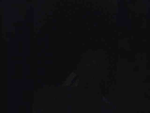 TutuGoo