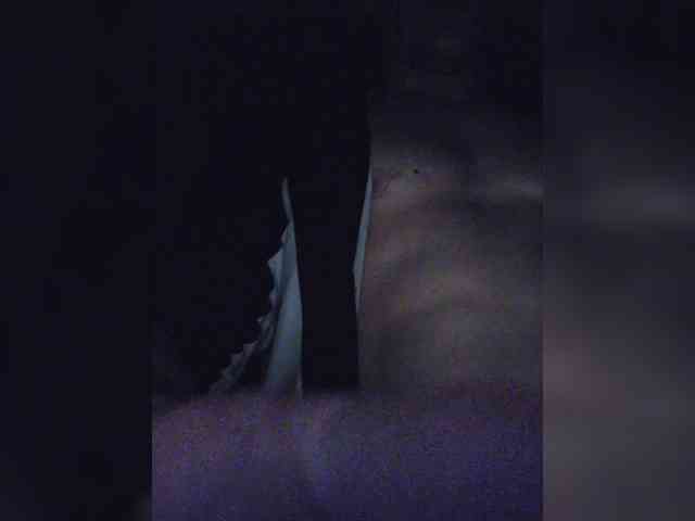 TutuGoo