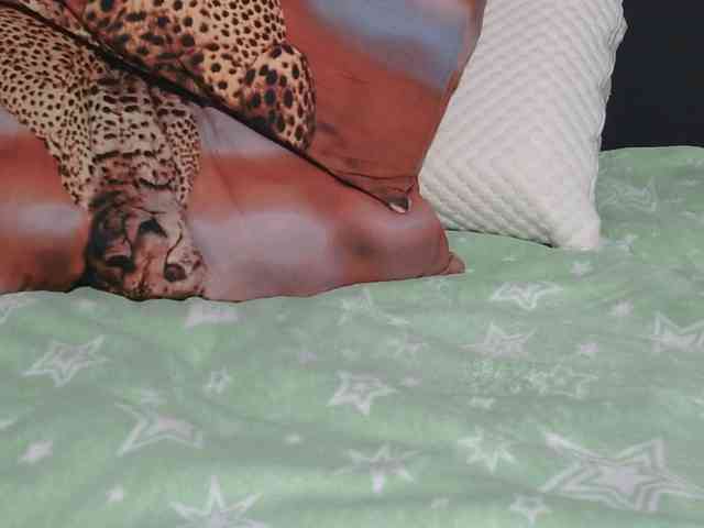 Shy_Shy