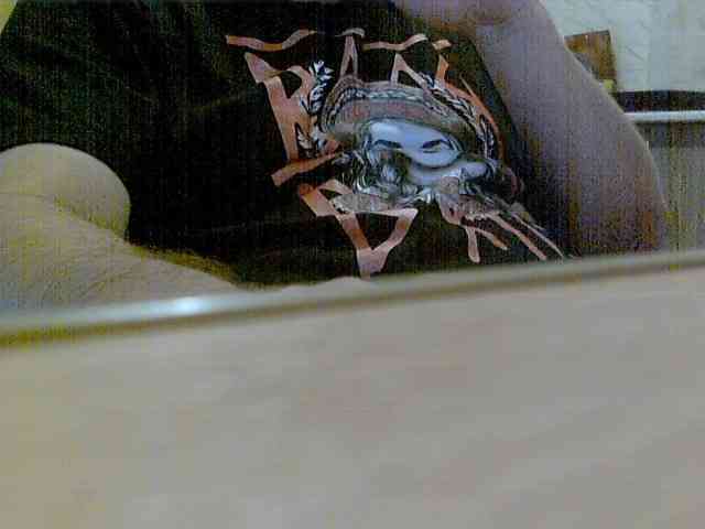 newstarborn