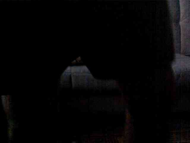 newstarborn Live Webcam on BongaCams