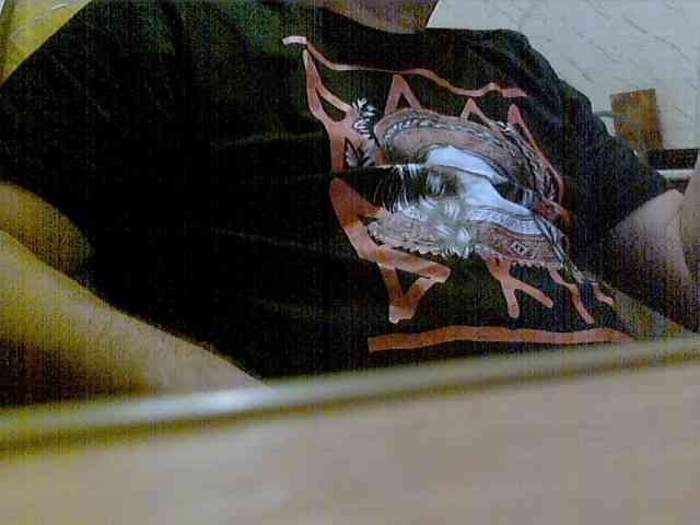newstarborn newstarborn