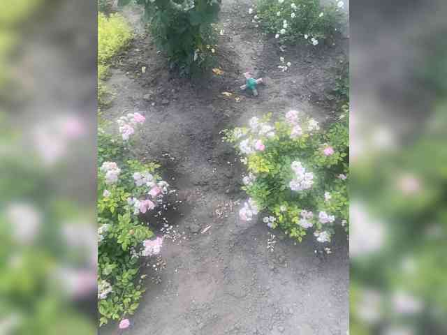 ProstoLolkaXXX webcam