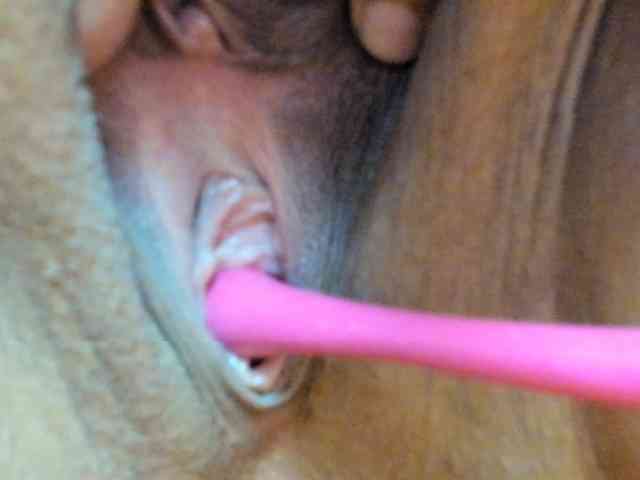 PinkySmithxXx