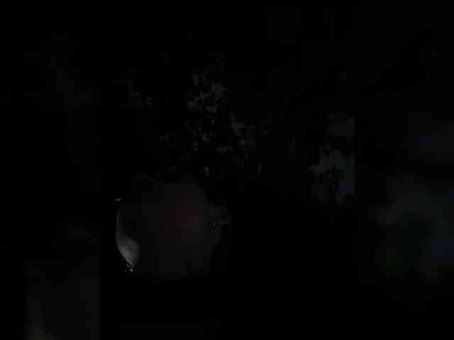 FetishTeacher webcam