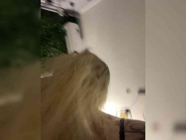 FetishTeacher webcam