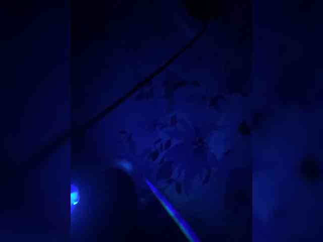 EmmaLust webcam