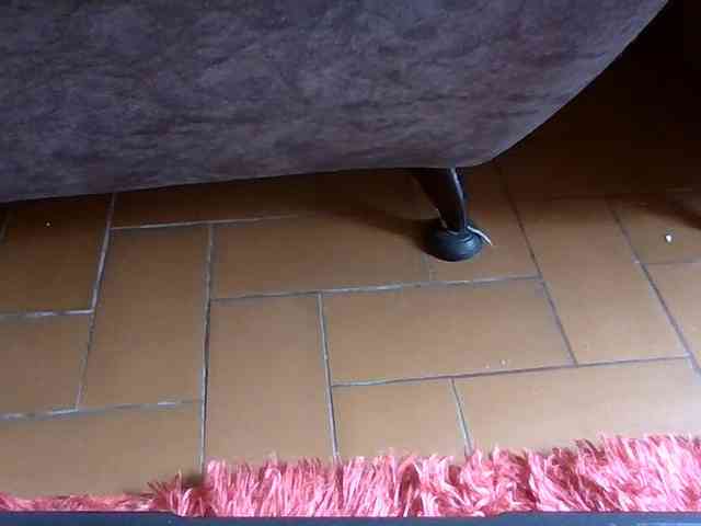 ShanellMoore webcam