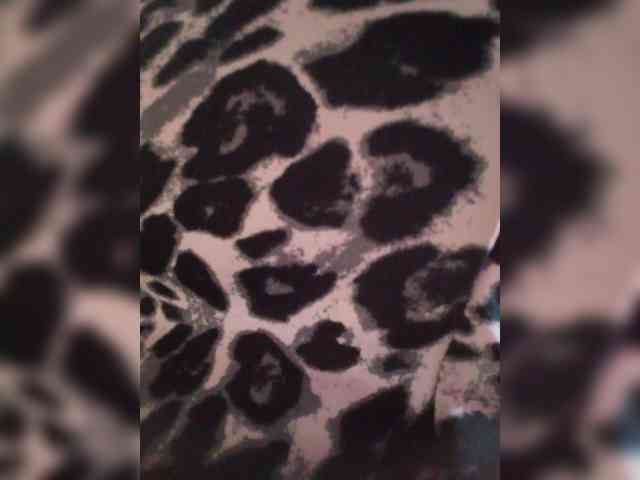 ShanellMoore webcam