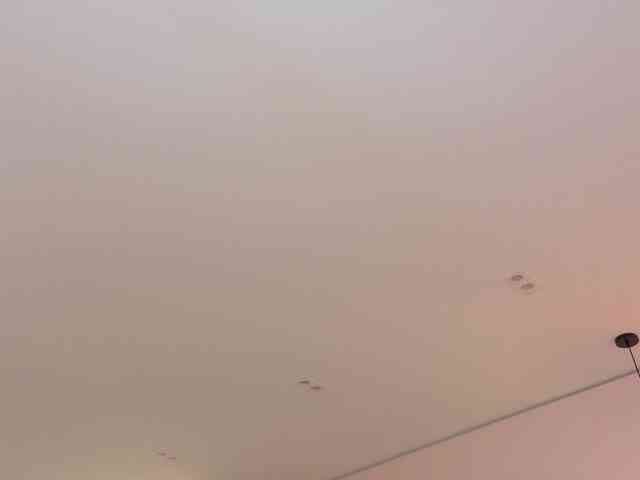 ShanellMoore webcam