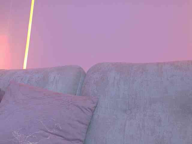ShanellMoore webcam
