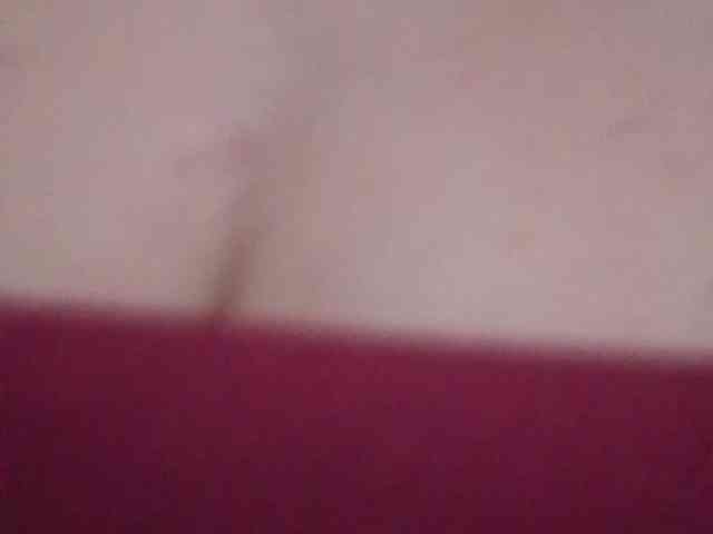 ShanellMoore webcam