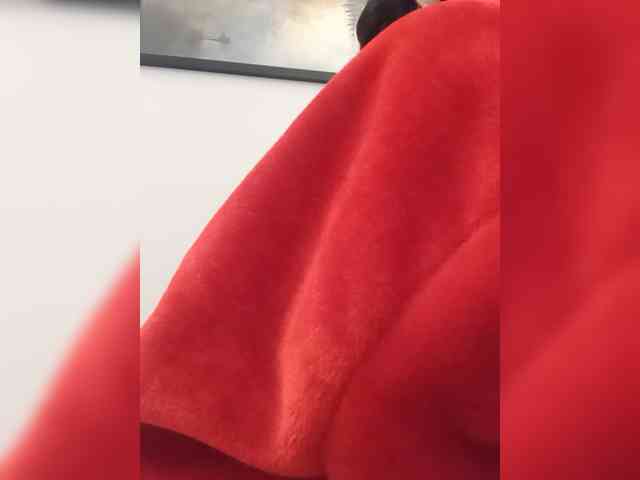 ShanellMoore webcam