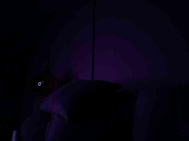 ShanellMoore webcam