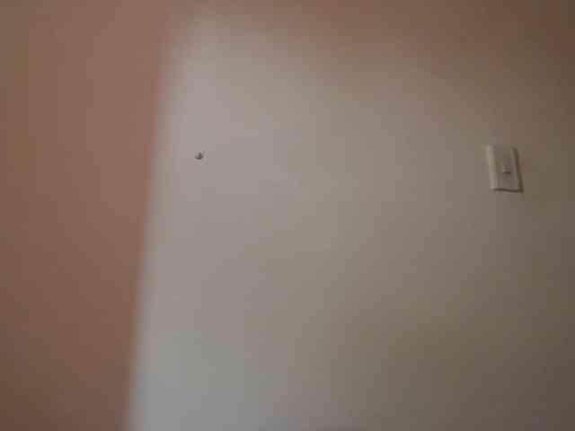ShanellMoore webcam