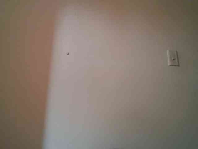 ShanellMoore webcam