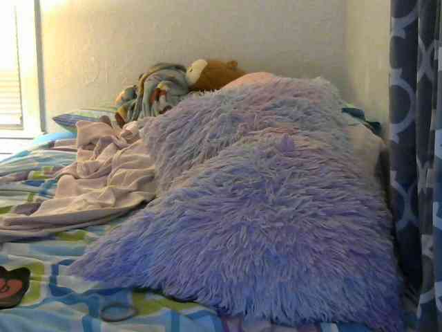 Milacek webcam