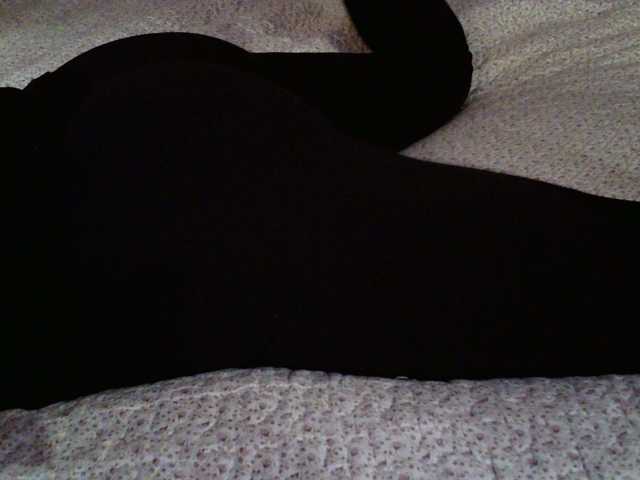 liZAAAZ live cam on BongaCams
