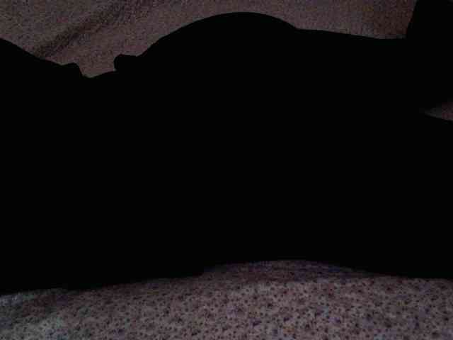 -magicrose- webcam