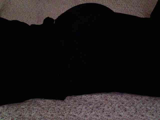 -magicrose- webcam