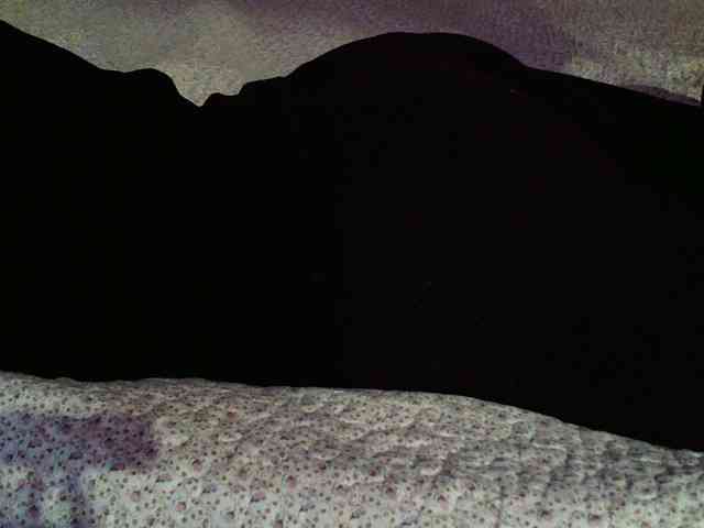 -magicrose- webcam