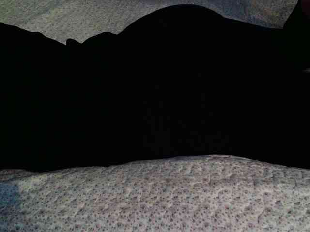 -magicrose- webcam