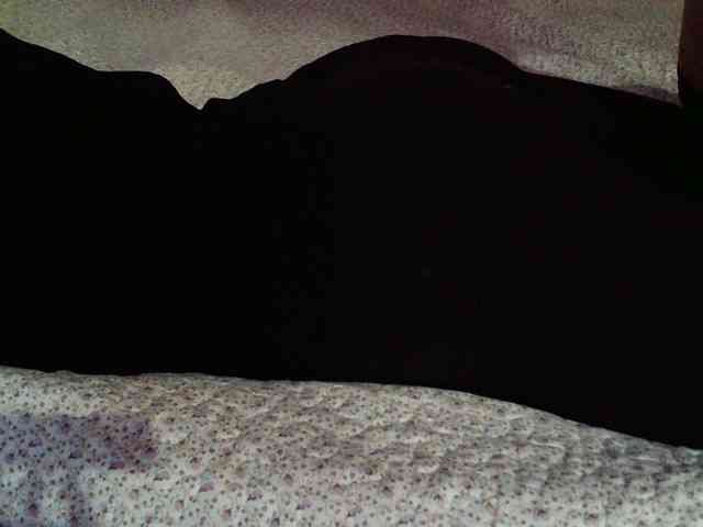 -magicrose- webcam