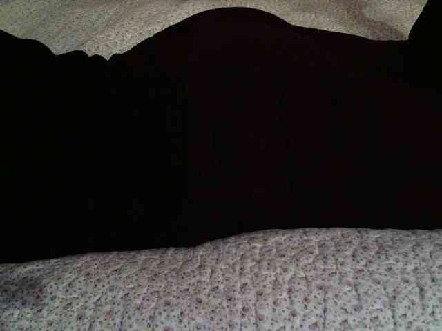 -magicrose- webcam