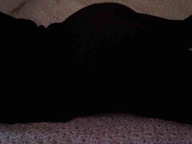 -magicrose- webcam