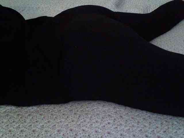 -magicrose- webcam