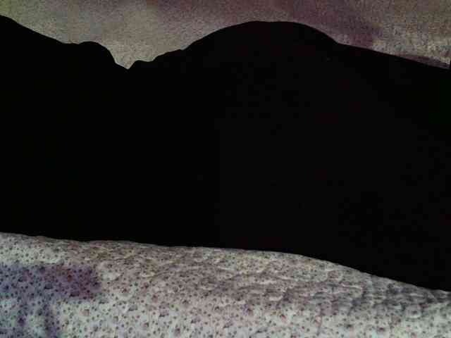 -magicrose- webcam