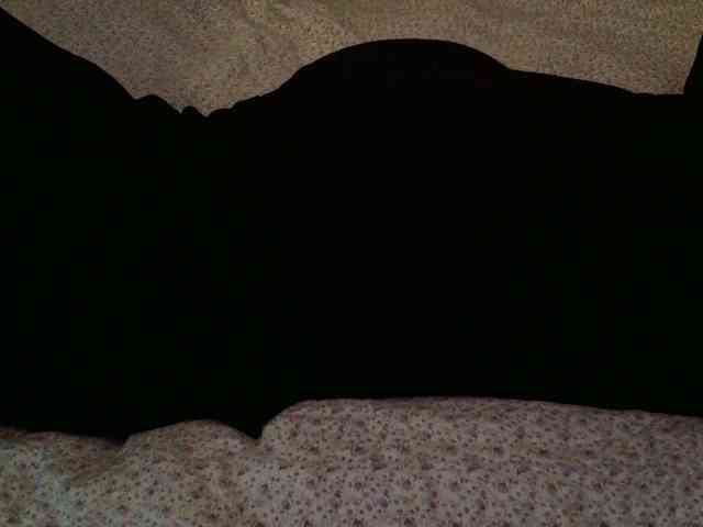-magicrose- webcam