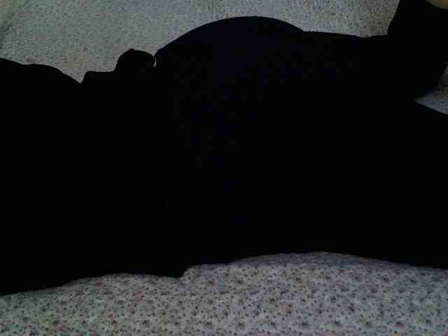 -magicrose- webcam