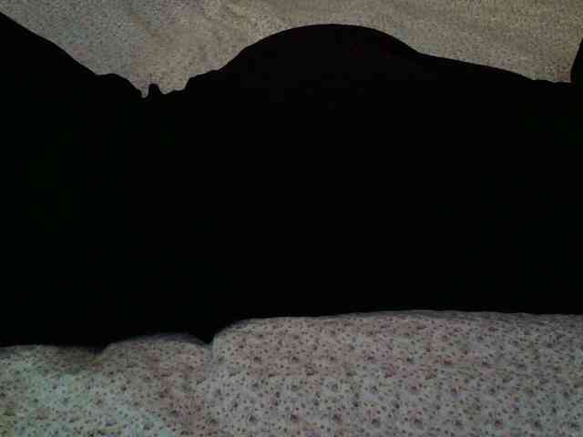 -magicrose- webcam