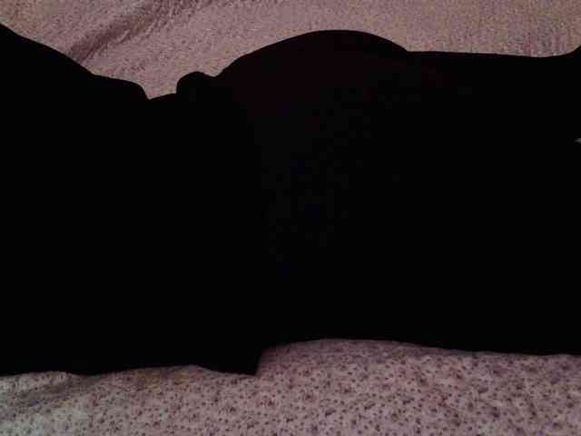 -magicrose- webcam
