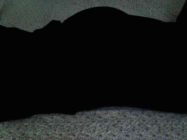 -magicrose- webcam