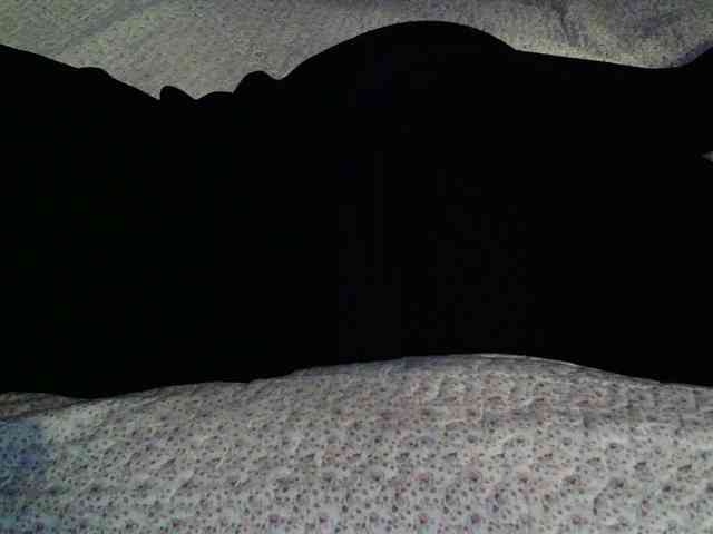 -magicrose- webcam