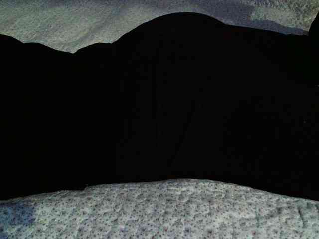 liZAAAZ liZAAAZ