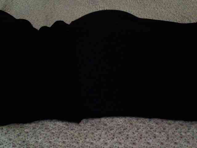 -magicrose- webcam
