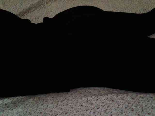 -magicrose- webcam