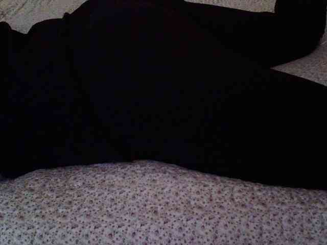 -magicrose- webcam