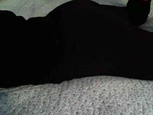 -magicrose- webcam