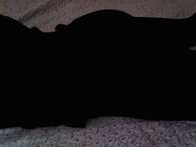 -magicrose- webcam