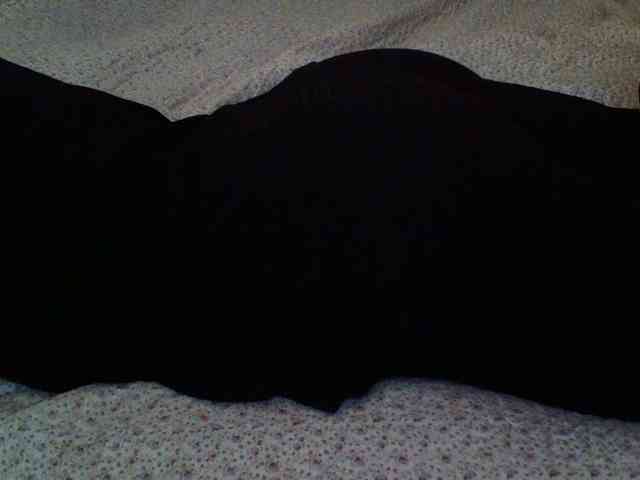-magicrose- webcam