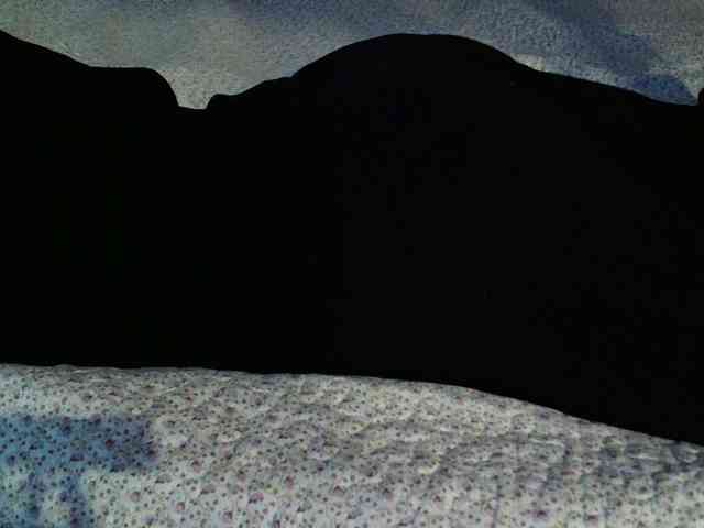 -magicrose- webcam