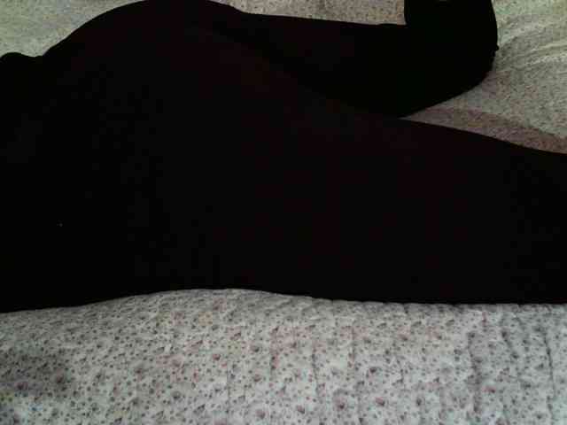 -magicrose- webcam