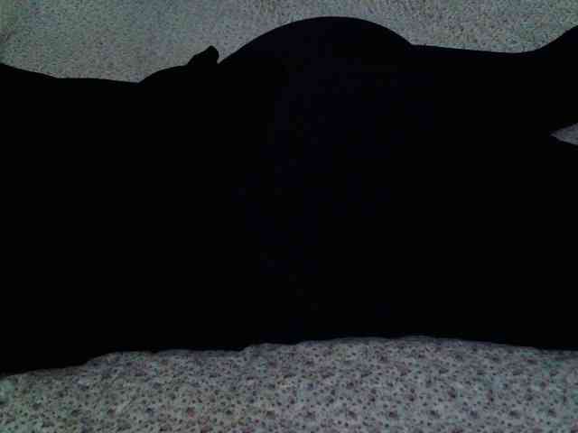 -magicrose- webcam