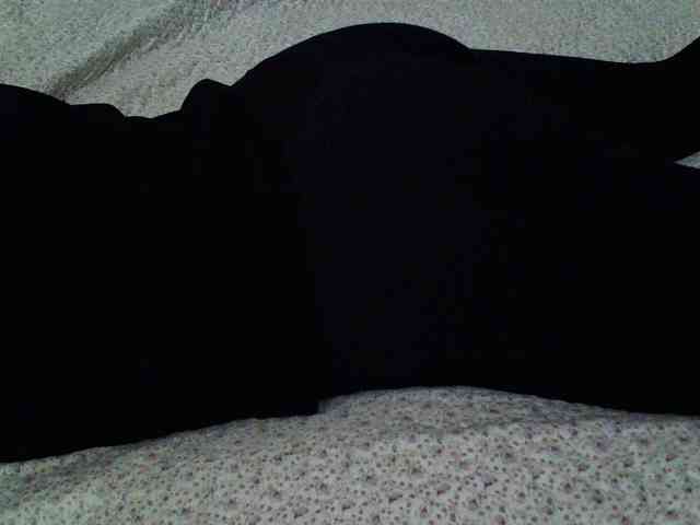 -magicrose- webcam