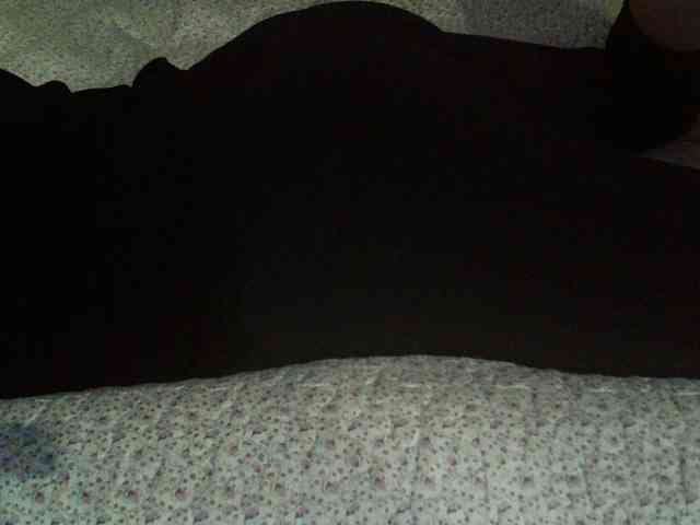 -magicrose- webcam